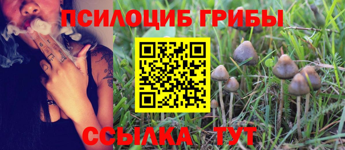 Галлюциногенные грибы Cubensis  Псилоцибиновые грибы Psilocybe  Гусев  Вход с VPN 