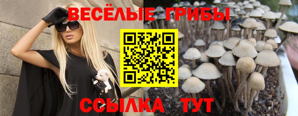 Галлюциногенные грибы прущие грибы Гусев